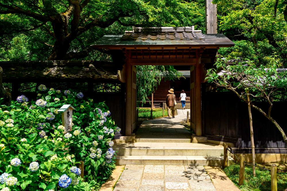 Cổng chính của Chùa Tokei-ji chua-tokei-ji